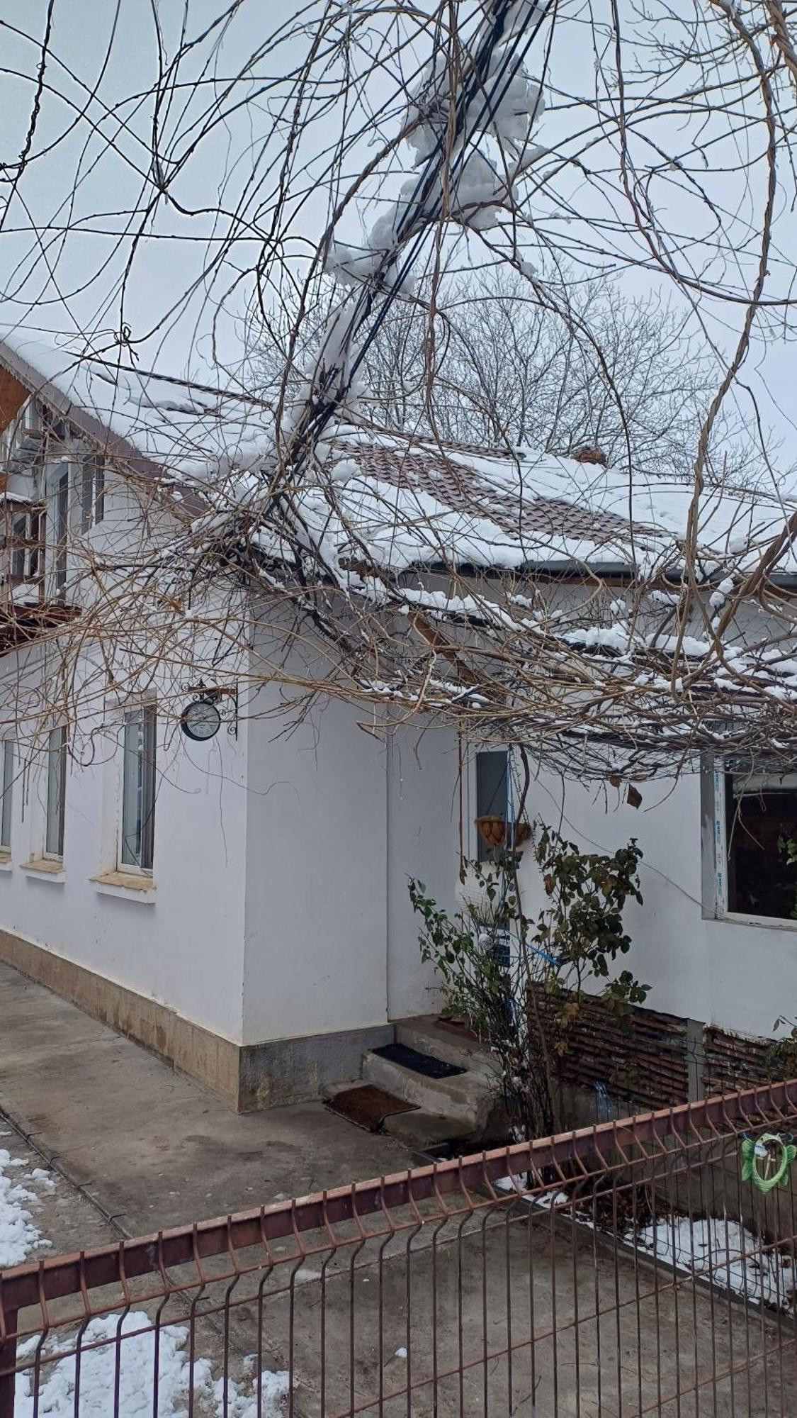 Casa Mocanu Giurgiu Exterior photo